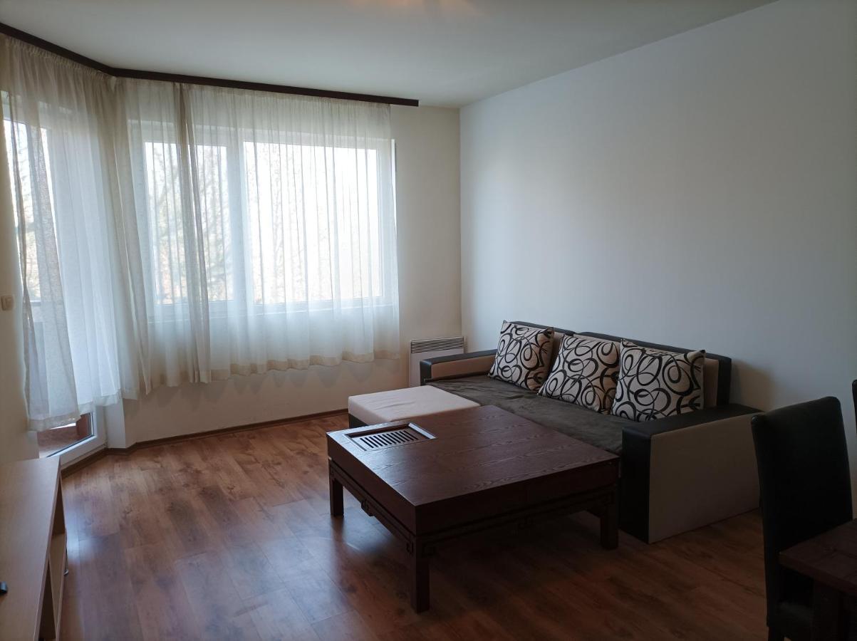 Apartment Detelina Residence Μπάνσκο Εξωτερικό φωτογραφία