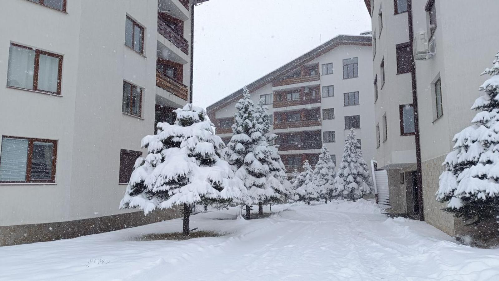 Apartment Detelina Residence Μπάνσκο Εξωτερικό φωτογραφία